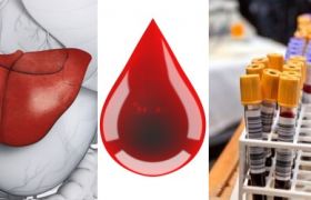 Печеночные показатели биохимического анализа крови: нормы