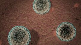Хронический гепатит Б: излечим или нет