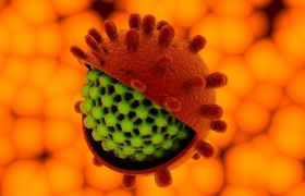 Пути и факторы передачи гепатита А