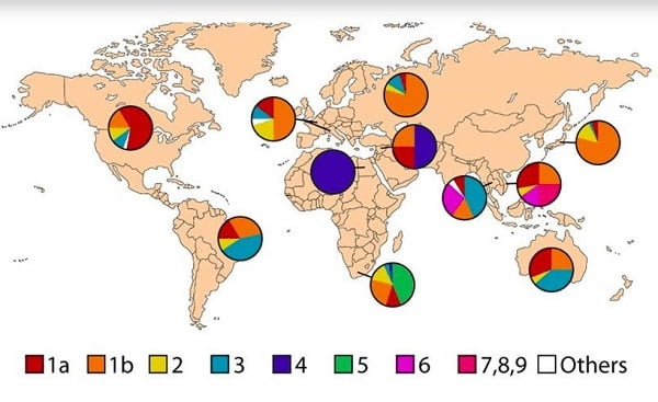 Распространенность генотипов гепатита С в мире