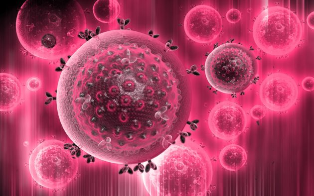 Что такое антитела к вирусу гепатита С